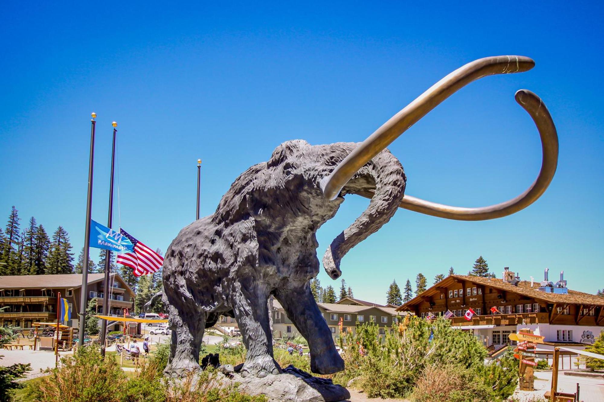 Sierra Manor Escape Villa Mammoth Lakes Cameră foto